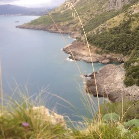 Calandrella