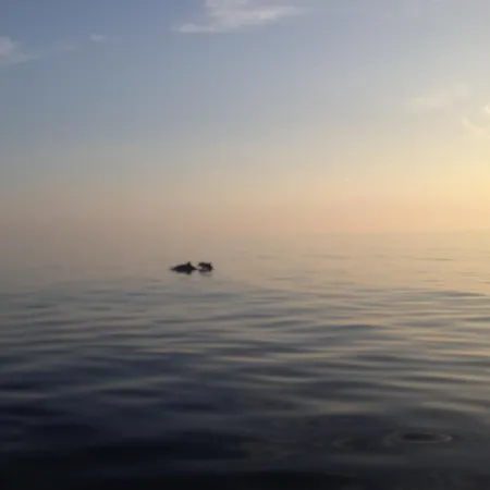 Calandrella 4* Маратея