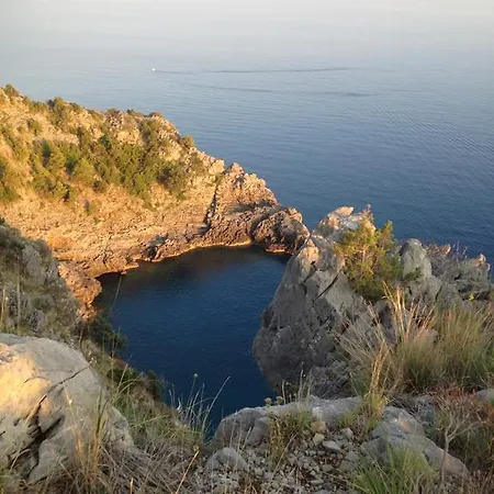 Calandrella