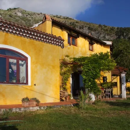 Calandrella