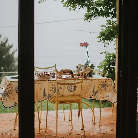 Calandrella Маратея