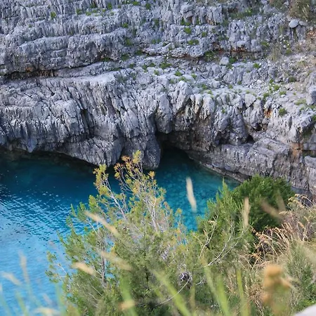 Calandrella Bed & Breakfast 4*