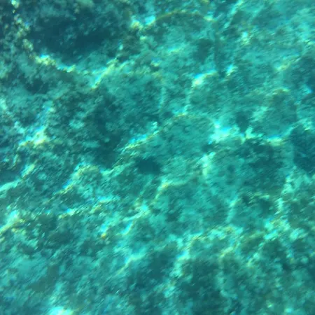 Bed & Breakfast Calandrella 4*