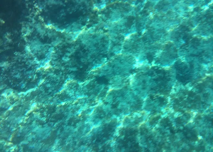 Bed and Breakfast Calandrella 4*