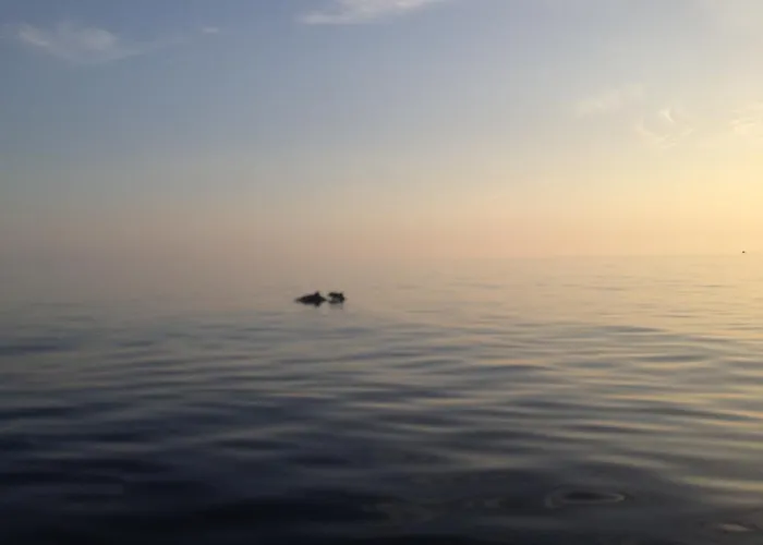 Calandrella 4* Maratea