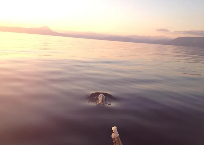 Calandrella Bed and Breakfast