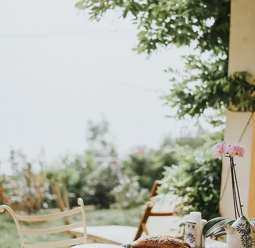 Calandrella 马拉泰亚